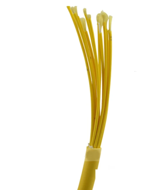 FCJ ODM Yellow Sheath LSZH Aramid Yarn Strength 2 4 6 8 12 24 48 Core G652D Fiber Optic Cable GJBFJV Supplier